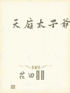 天庭太子爷