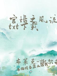 官场之风流人生txt下载