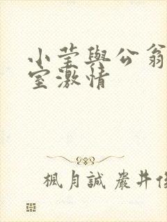 小莹与公翁办公室激情