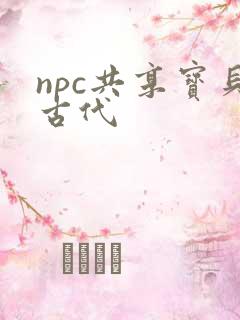 npc共享宝贝古代
