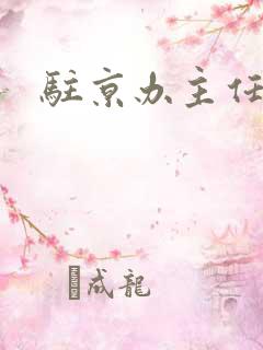 驻京办主任对手