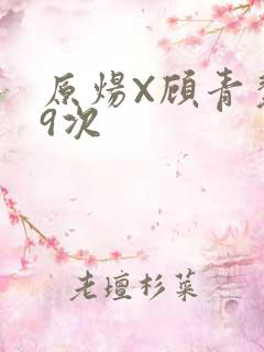原炀X顾青裴车9次