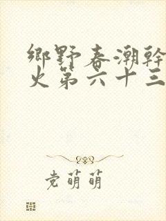 乡野春潮干柴烈火第六十三章