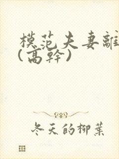 模范夫妻离婚了(高干)