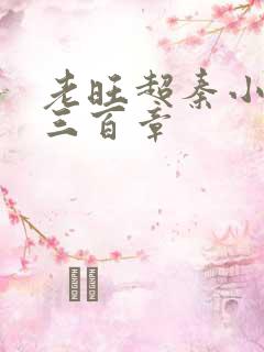 老旺超秦小雨第三百章