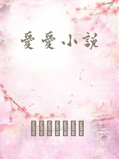 爱爱小说