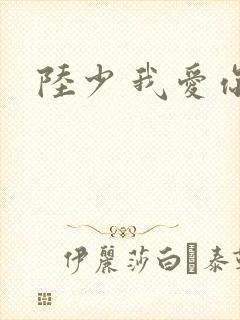 陆少 我爱你