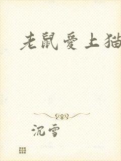 老鼠爱上猫下载