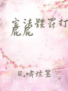 家法体罚打丫鬟屁屁