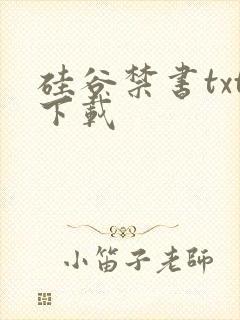 硅谷禁书txt下载