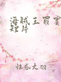 海贼王罗宾被h短片