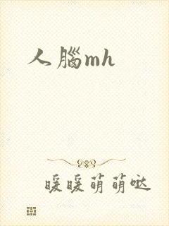 人脑mh