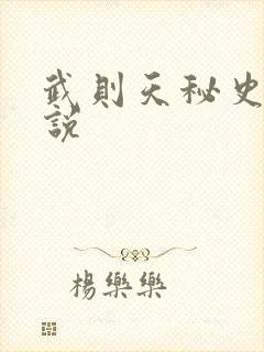 武则天秘史 小说