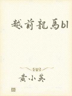 越前龙马bl