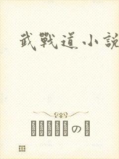 武战道小说