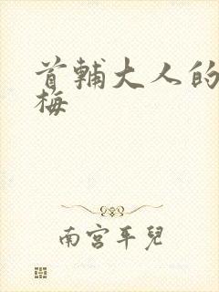 首辅大人的小青梅