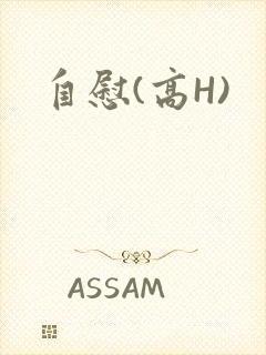 自慰(高H)