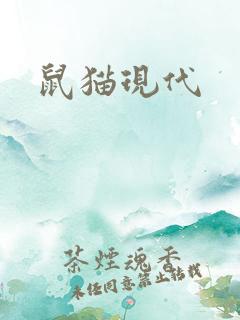 鼠猫现代