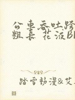 公车吞吐跨坐 粗长 花液BL