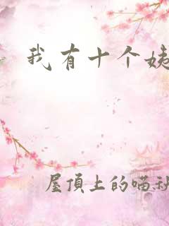 我有十个姨太太