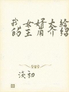 我女婿太给力了的主角介绍