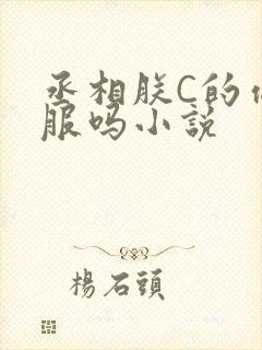 丞相朕C的你舒服吗小说