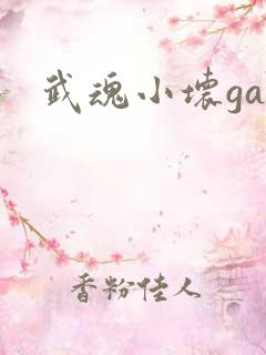 武魂小坏ga