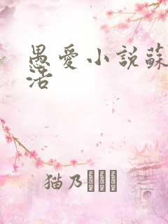 愚爱小说苏倩孙浩