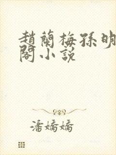 赵兰梅孙明笔趣阁小说