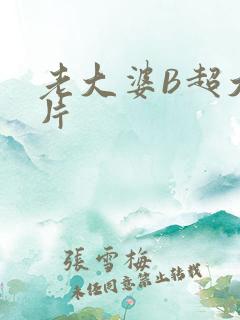 老大婆B超大图片