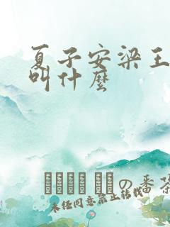 夏子安梁王书名叫什么