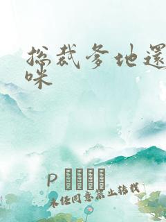 总裁爹地还我妈咪