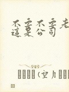 不要不要老板别这是公司