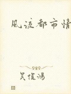 风流都市情