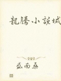 龙腾小说城