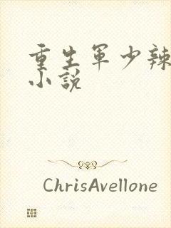 重生军少辣娇妻小说