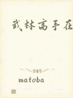 武林高手在官场