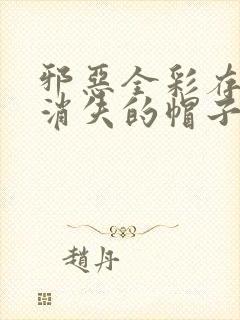 邪恶全彩存在感消失的帽子