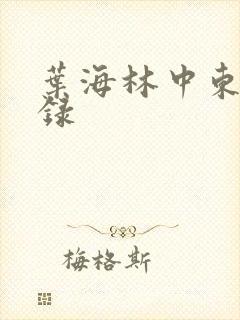叶海林中东风云录