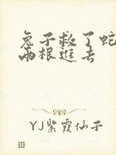 兔子救了蛇被蛇两根进去