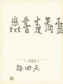 恋爱才是正经事txt百度网盘