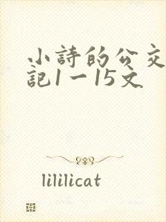 小诗的公交车日记1一15文
