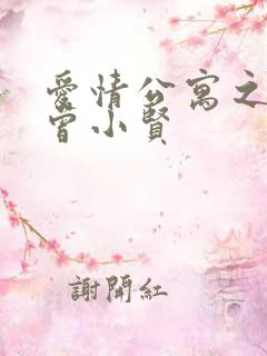 爱情公寓之极品曾小贤