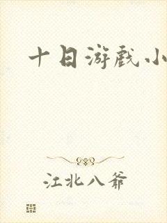 十日游戏小说