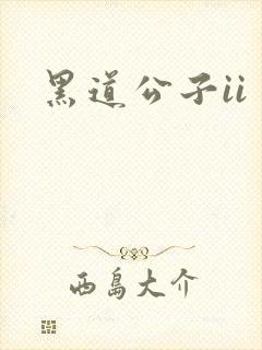 黑道公子ii