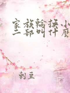 家族轮换小说第二部叫什么名字