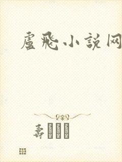 卢飞小说网