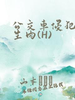 公交车侵犯小男生肉(H)