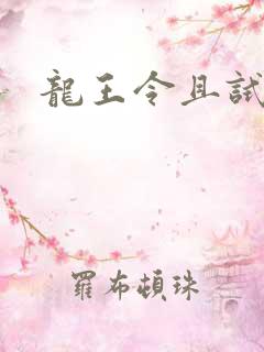 龙王令且试天下