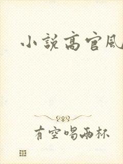 小说高官风流
